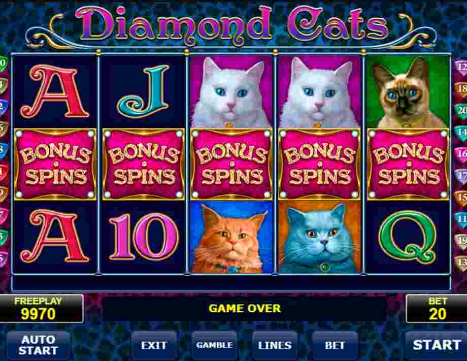 Diamond Cats Slots Online Free Play & Game Review