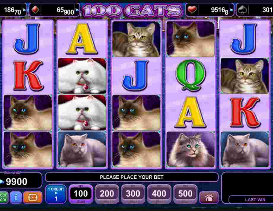 100 cats free slots