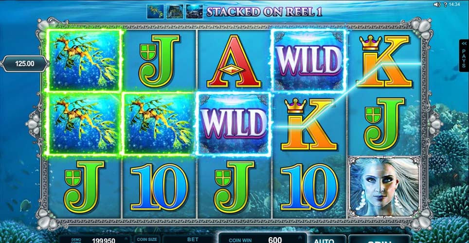 Ariana Slot Winning Spin