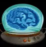 Dr Watts Up - Brain Bowl