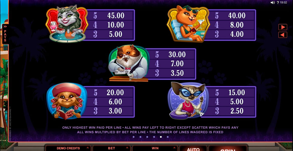 Kitty Slot Paytable - Character Symbols Payouts