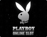 Playboy Slot Dunder