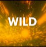 KTV - WILD