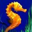 Dolphins Pearl - Seahorse