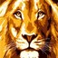 King of Africa - Lion